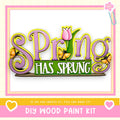 The image is a colorful sign that says "Spring Has Sprung" with decorative elements such as flowers and butterflies.