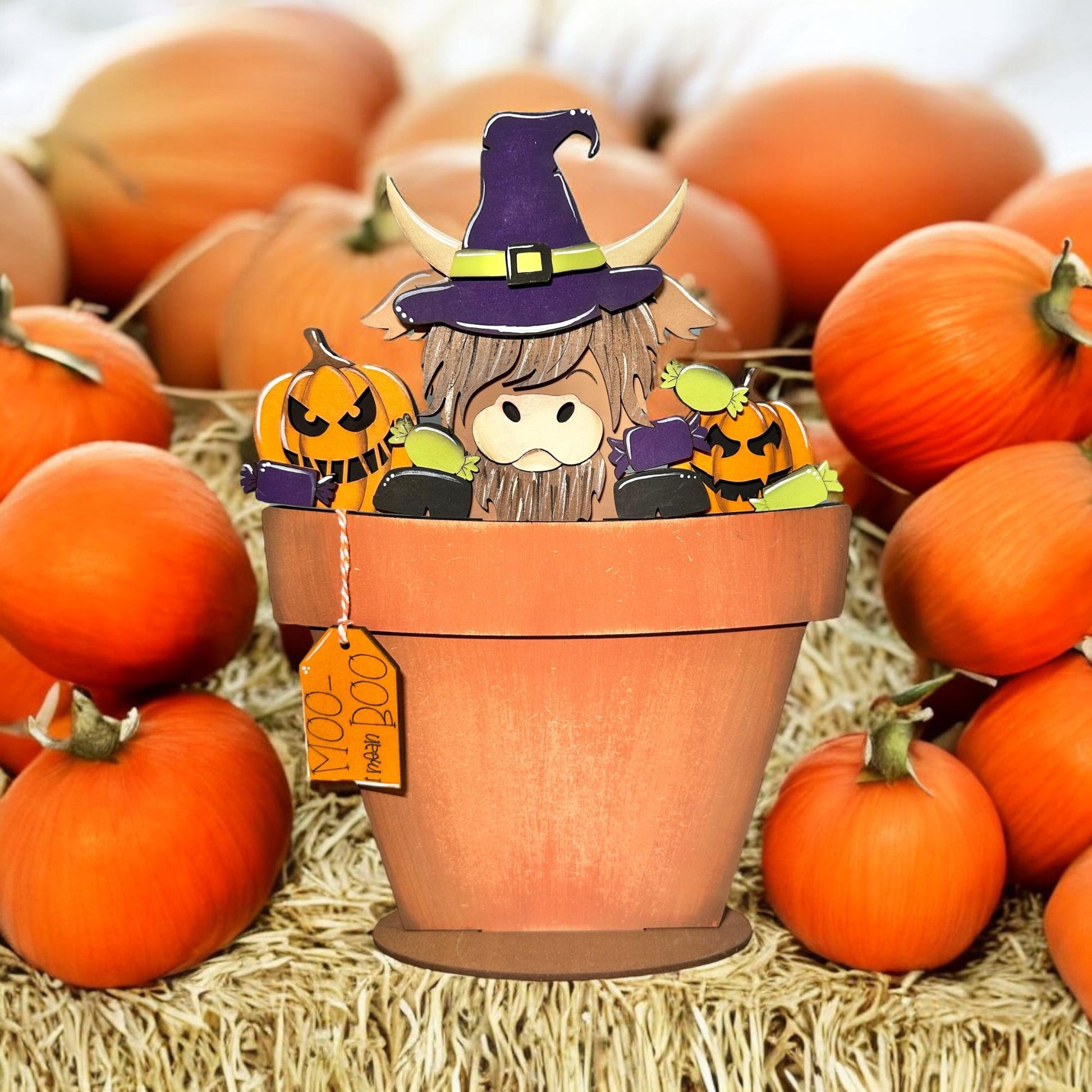 a pot of pumpkins with a scarecrow in it